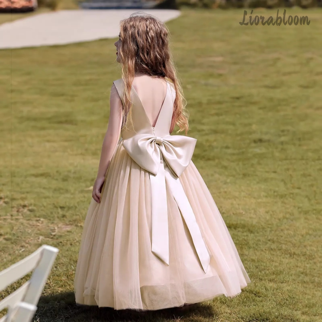 ชุดเดรสเจ้าหญิงหลากสีแบบเปิดหล - Women Formal Wear Dress บทวิจารณ์และราคา